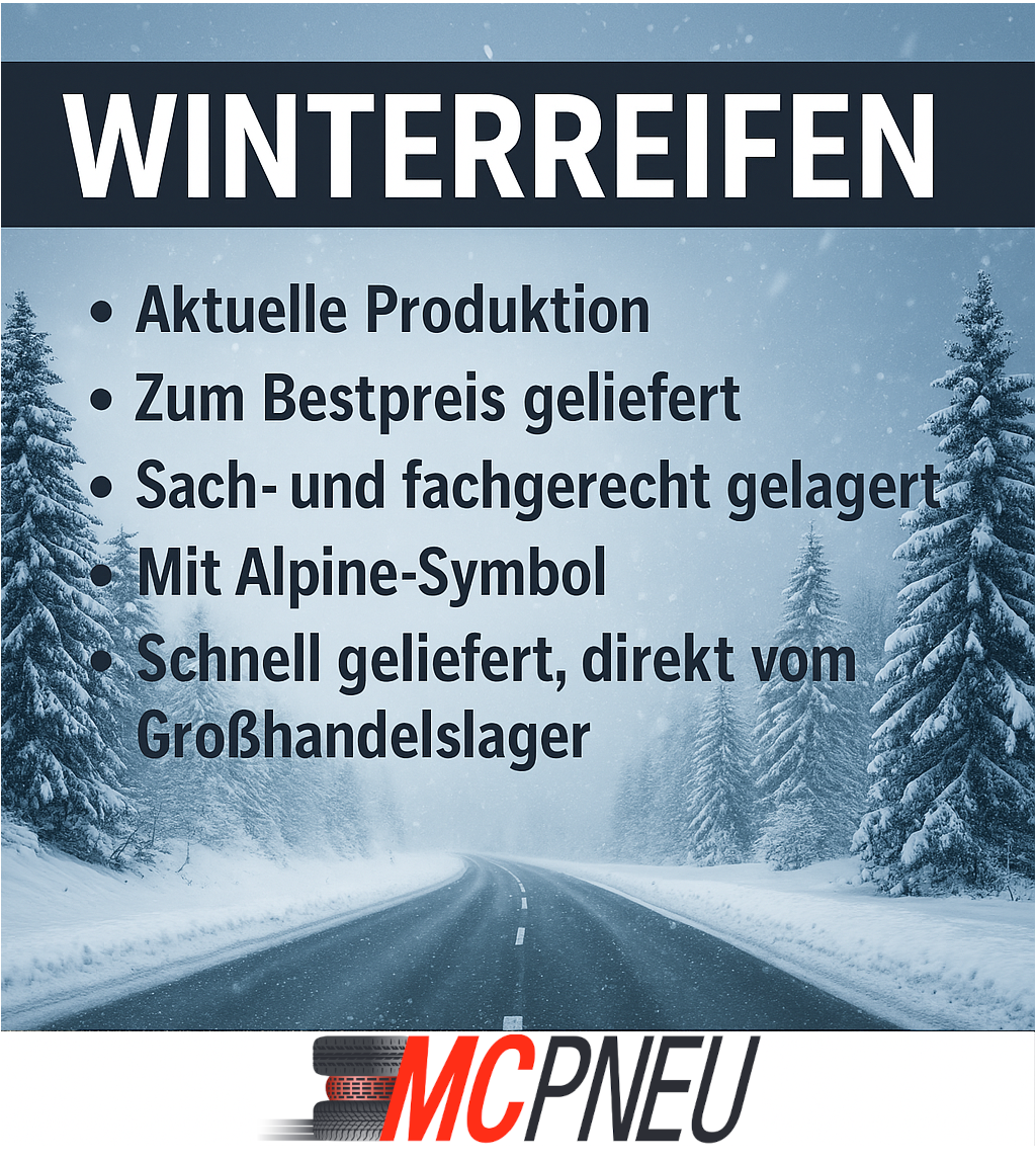 Bild 2 von 3